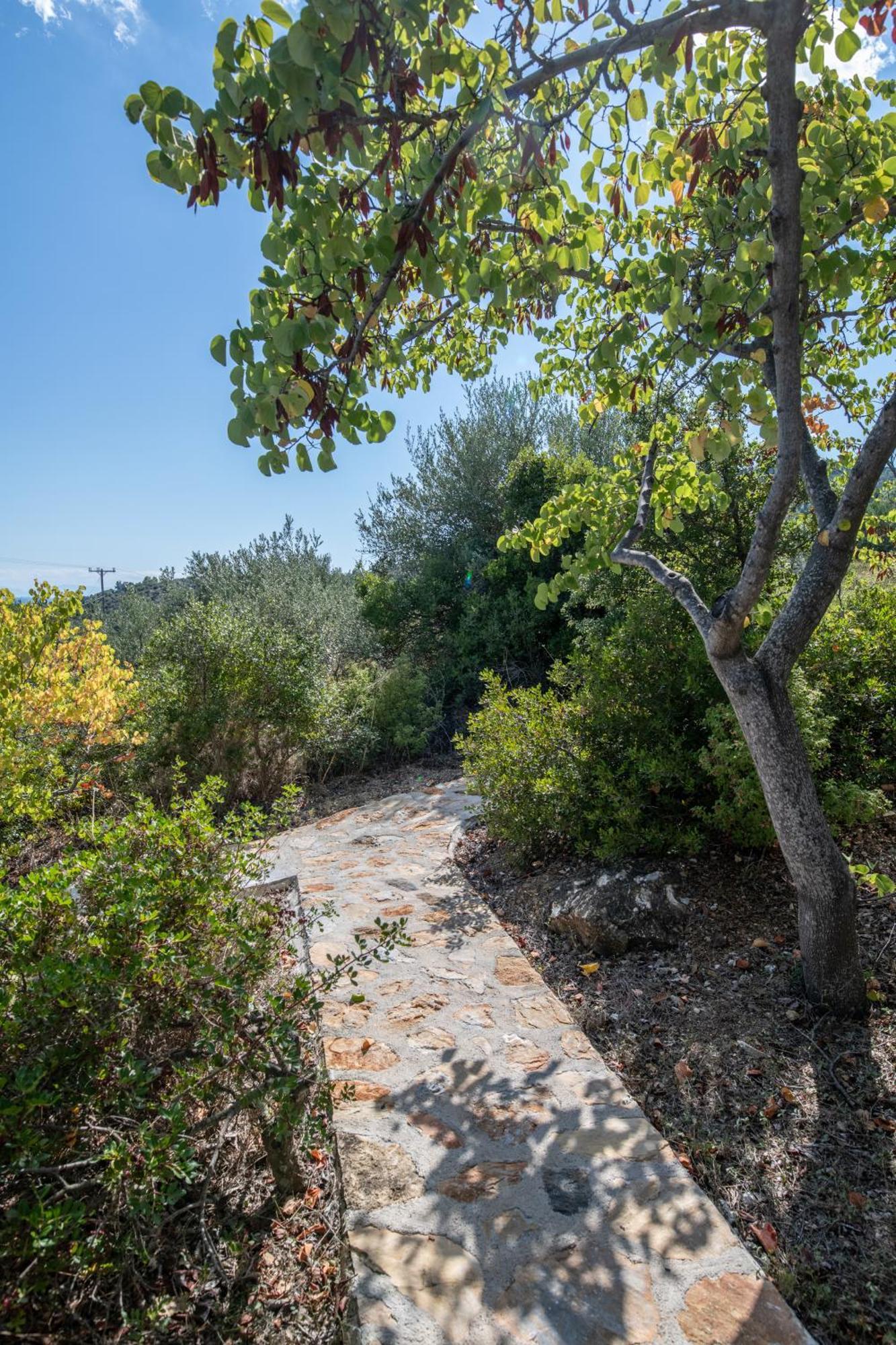 Elea Villas Steni Vala Alonissos Exteriör bild